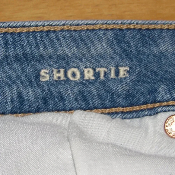 AMERICAN EAGLE OUTFITTERS Shortie Distressed Stretch Jean Shorts Size 4 - Picture 4 of 5